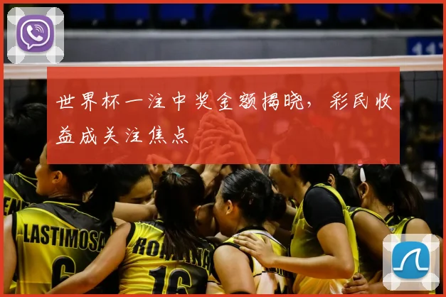 世界杯一注中奖金额揭晓，彩民收益成关注焦点