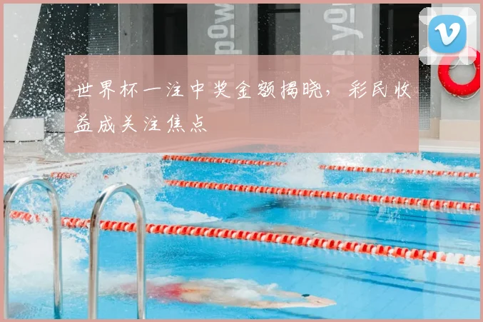 世界杯一注中奖金额揭晓,彩民收益成关注焦点