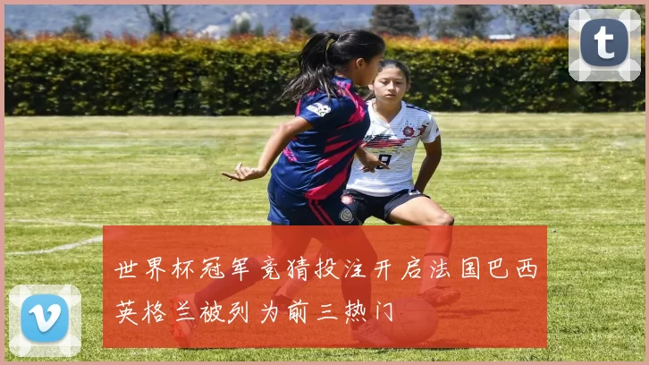 世界杯冠军竞猜投注开启法国巴西英格兰被列为前三热门