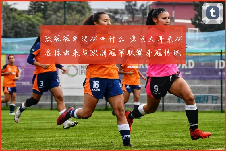 欧冠冠军奖杯叫什么 盘点大耳朵杯名称由来与欧洲冠军联赛夺冠传统