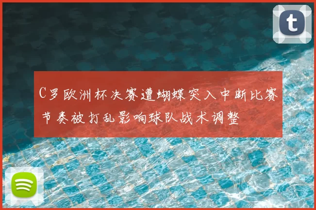 C罗欧洲杯决赛遭蝴蝶突入中断比赛节奏被打乱影响球队战术调整