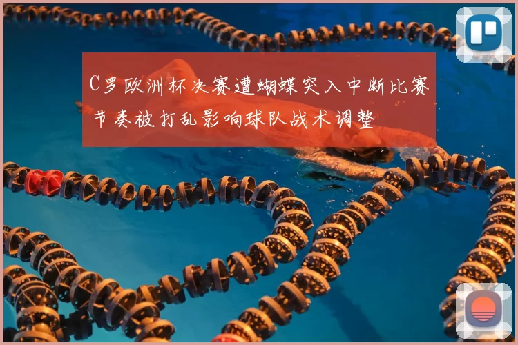 C罗欧洲杯决赛遭蝴蝶突入中断比赛节奏被打乱影响球队战术调整